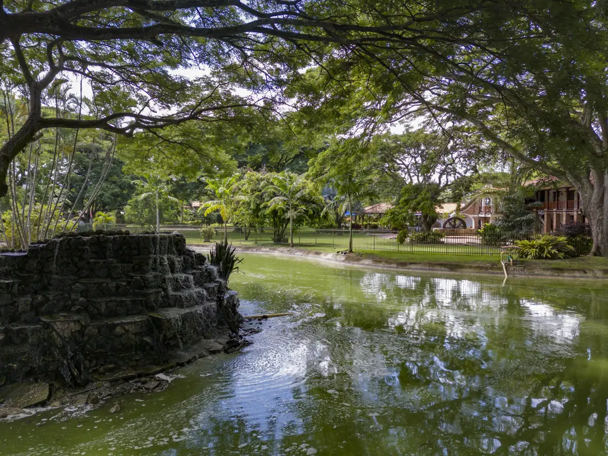 Lago con cascada de piedra bajo los árboles del club